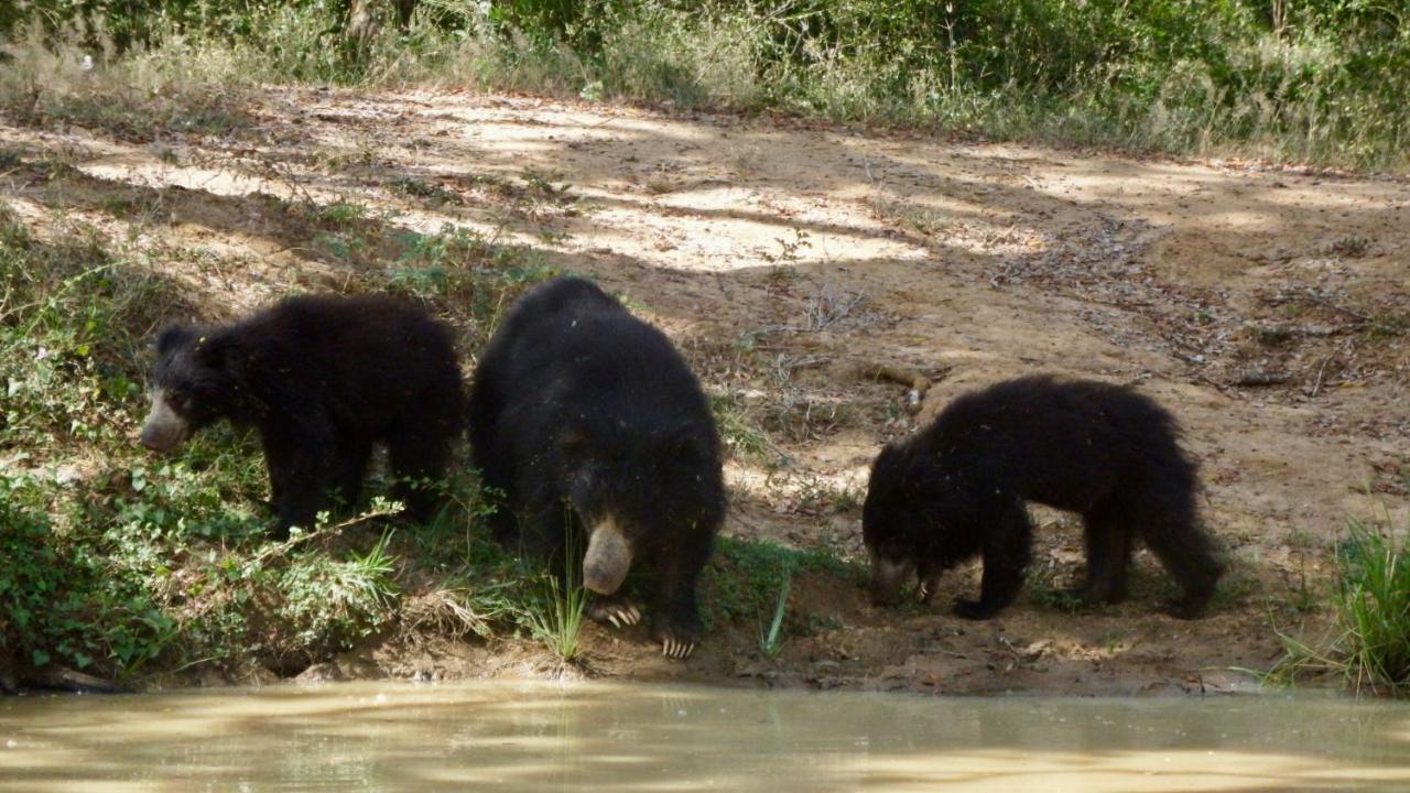 Kele Yala Villa Bagian luar foto
