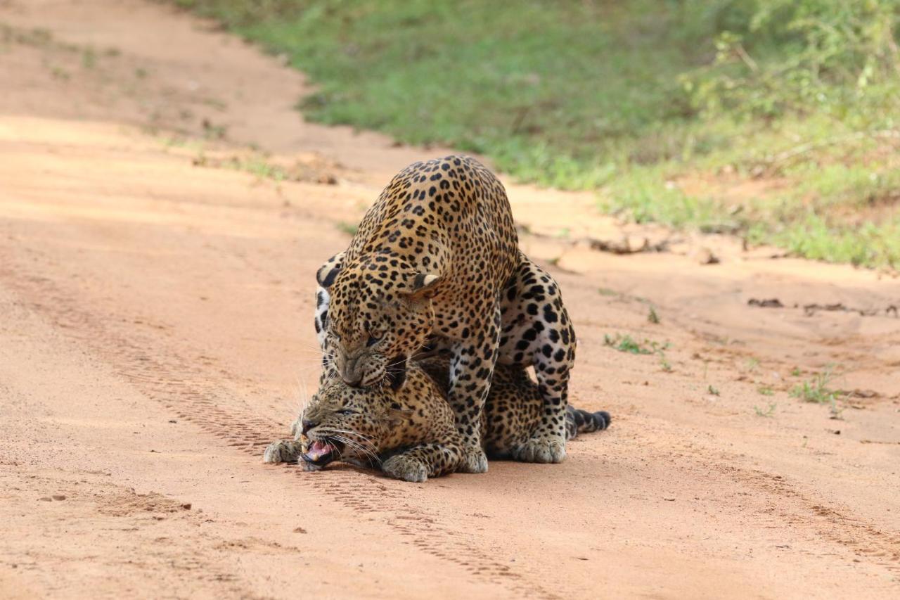 Kele Yala Villa Bagian luar foto
